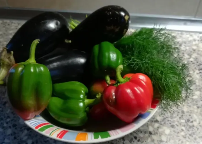 Horská chata Villa Soroni Soroni